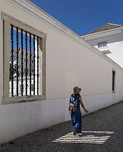 Jules passing over a shadow cast of window bars, Biblioteca das Galveias, Lisbon, Portugal julesvernex2