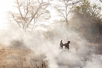 Campamento de ganado de la tribu Mundari, Terekeka, Sudán del Sur, 2024-01-27, DD 08