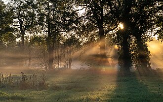 Morgenstimmung-Drenthe-Krepuskularstrahlen-Nebel-Irideszenz-2025