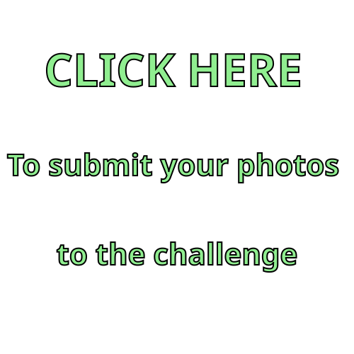 To submit your photos please click here